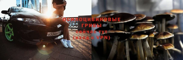 герыч Богородицк