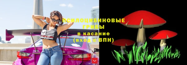 ECSTASY Богородск