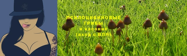 ECSTASY Богородск