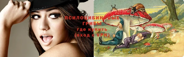 прущие крисы Богданович